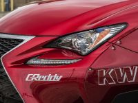 Rocket Bunny Lexus RC F SPORT (2014)