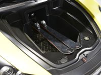 Roding Roadster Geneva (2013) - picture 6 of 7