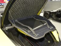 Roding Roadster Geneva (2013)