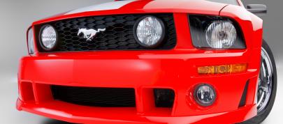 ROUSH 427R Ford Mustang (2009) - picture 12 of 33