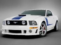 ROUSH 427R Ford Mustang (2009) - picture 13 of 33