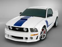 ROUSH 427R Ford Mustang (2009) - picture 14 of 33