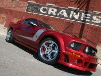 ROUSH 427R Ford Mustang (2009) - picture 30 of 33