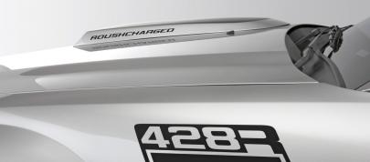 ROUSH 428R Ford Mustang (2008) - picture 7 of 14