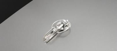 ROUSH 428R Ford Mustang (2008) - picture 12 of 14