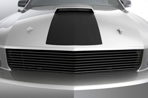 ROUSH 428R Ford Mustang (2008) - picture 8 of 14