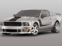 ROUSH 428R Ford Mustang (2008) - picture 3 of 14