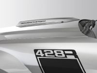 ROUSH 428R Ford Mustang (2008)