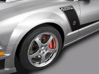 ROUSH 428R Ford Mustang (2008) - picture 11 of 14