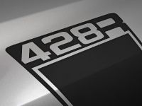 ROUSH 428R Ford Mustang (2008) - picture 13 of 14