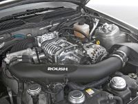 ROUSH 428R Ford Mustang (2008) - picture 14 of 14