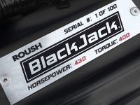ROUSH BlackJack Mustang (2008) - picture 14 of 16