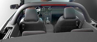 ROUSH Speedster Fod Mustang (2008) - picture 4 of 16