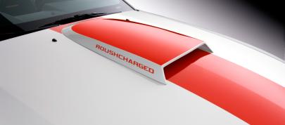 ROUSH Speedster Fod Mustang (2008) - picture 7 of 16