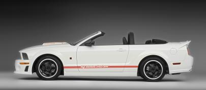 ROUSH Speedster Fod Mustang (2008) - picture 15 of 16