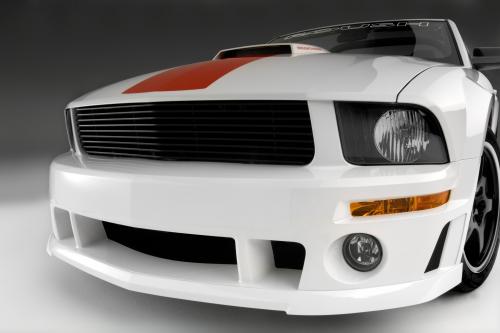 ROUSH Speedster Fod Mustang (2008) - picture 1 of 16