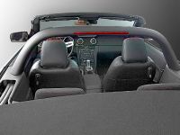 ROUSH Speedster Fod Mustang (2008)