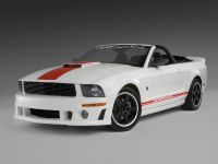 ROUSH Speedster Fod Mustang (2008) - picture 11 of 16