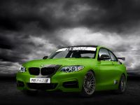 RS-Racingteam BMW M235i Green Hell (2014) - picture 1 of 3