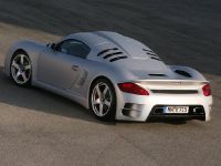 Ruf CTR3 (2007) - picture 2 of 3