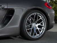 Schmidt Revolution Porsche Boxster (2013) - picture 11 of 14