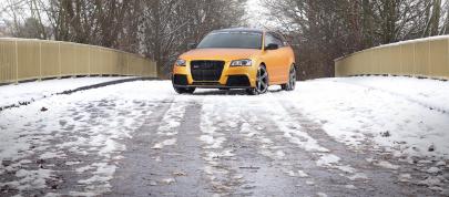 Schwabenfolia Audi RS3 Gold Orange (2013) - picture 4 of 13