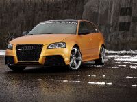 Schwabenfolia Audi RS3 Gold Orange (2013) - picture 1 of 13