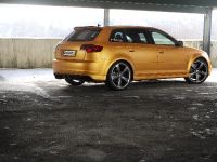 Schwabenfolia Audi RS3 Gold Orange (2013) - picture 5 of 13