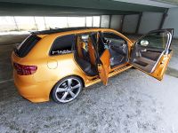 Schwabenfolia Audi RS3 Gold Orange (2013) - picture 8 of 13