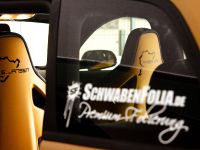 Schwabenfolia Audi RS3 Gold Orange (2013) - picture 11 of 13