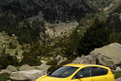 Seat Altea Freetrack (2007) - picture 9 of 24