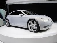 SEAT IBE Concept Geneva (2010) - picture 2 of 4