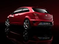 Seat Ibiza Bocanegra (2009) - picture 2 of 4