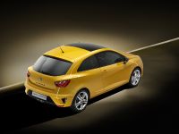 Seat Ibiza Cupra Concept (2012) - picture 11 of 18