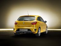 Seat Ibiza Cupra Concept (2012) - picture 13 of 18