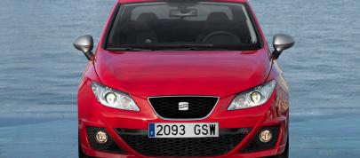 SEAT Ibiza FR 2.0 TDI CR (2010) - picture 12 of 58