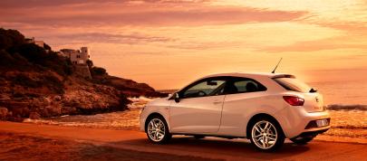 SEAT Ibiza FR 2.0 TDI CR (2010) - picture 20 of 58