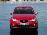 SEAT Ibiza FR 2.0 TDI CR (2010)