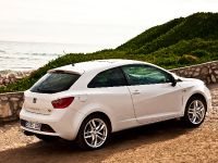 SEAT Ibiza FR 2.0 TDI CR (2010)