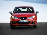 SEAT Ibiza FR 2.0 TDI CR (2010) - picture 29 of 58
