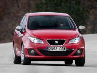 SEAT Ibiza FR 2.0 TDI CR (2010)