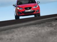 SEAT Ibiza FR 2.0 TDI CR (2010)