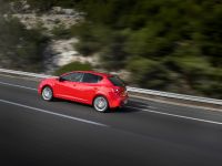 SEAT Ibiza FR 2.0 TDI CR (2010) - picture 37 of 58