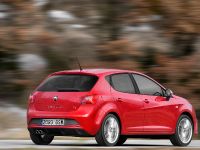 SEAT Ibiza FR 2.0 TDI CR (2010)