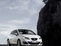 SEAT Ibiza FR 2.0 TDI CR (2010) - picture 43 of 58