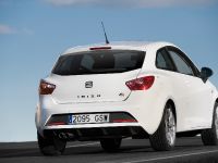 SEAT Ibiza FR 2.0 TDI CR (2010)
