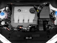 SEAT Ibiza FR 2.0 TDI CR (2010) - picture 58 of 58