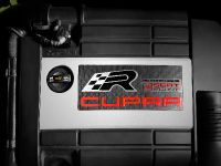 SEAT Leon Cupra R (2009)