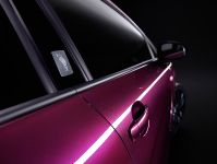 SEAT Leon Pies Descalzos (2009)