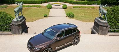 Senner Audi Q5 (2011) - picture 7 of 26